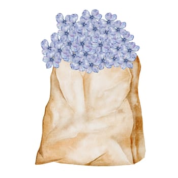 Watercolor bouquet of hydrangea in craft packaging. Flowers in a paper bag. Clip art botanical. Ideal for posters in a flower shop and cards for Women's Day and Mother's Day. High quality illustration