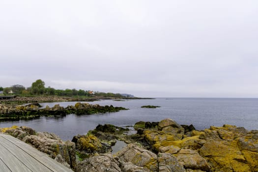 Coast line of sea. Stones covered with yellow and green moss and cloudy sky. Beautiful landscape.