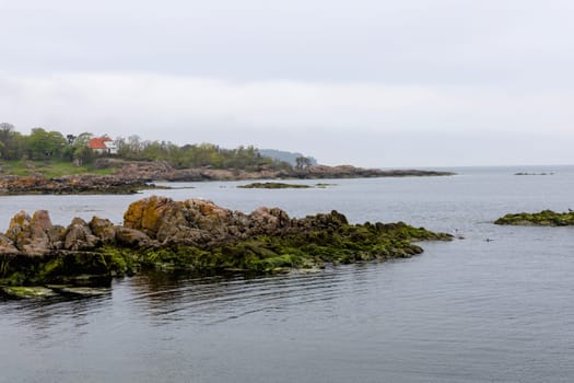 Coast line of sea. Stones covered with yellow and green moss and cloudy sky. Beautiful landscape.