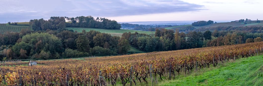 FRANCE, GIRONDE, ENTRE DEUX MERS VINEYARDS, STONE CABIN WITH AUTUMN COLORS, High quality photo