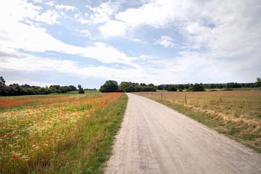 Road in the countryside and cloudy sky on a summer day. High quality photo