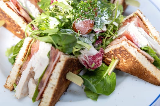 white plate with sliced chicken sandwiches and green salad in a restaurant. High quality photo