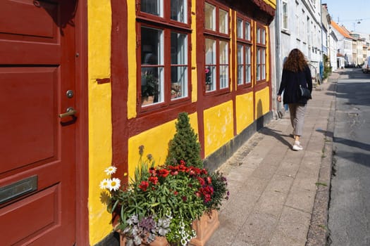 Colorful houses on the old street of the city of Elsinore, Denmark