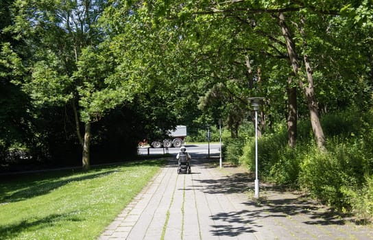 A man in a wheelchair rides along the road in the park. High quality photo