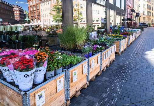 Various flowers and plants in pots outside the shop. Copenhagen, Denmark - August 3, 2023.