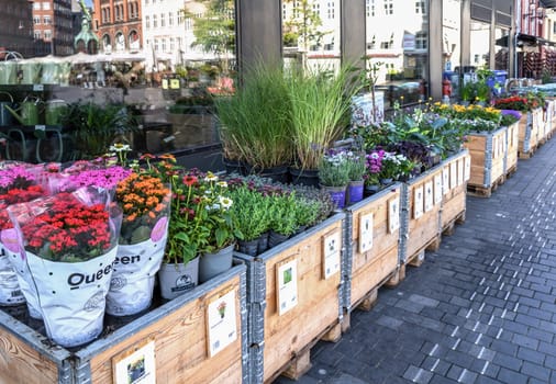 Various flowers and plants in pots outside the shop. Copenhagen, Denmark - August 3, 2023.