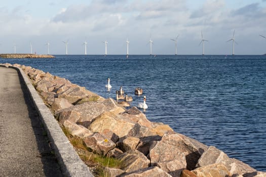 Flock of swans on the sea and Wind turbine farm power genarator in beautiful nature landscape. High quality photo
