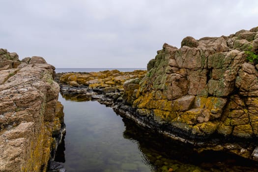 Coast line of sea. Stones covered with yellow and green moss and cloudy sky. Beautiful landscape.