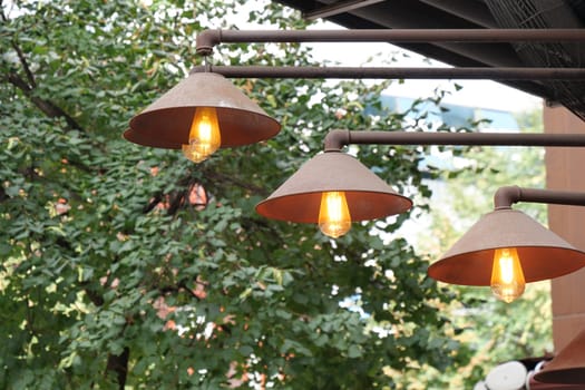 Hanging industrialstyle lights beautifully surrounded by the vibrant lush trees in the area