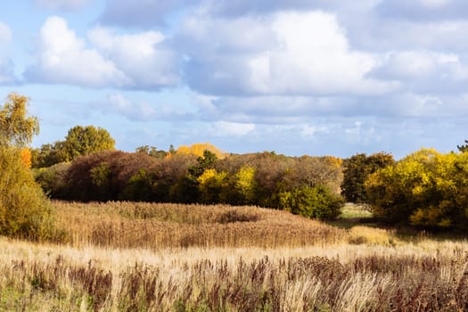 Beautiful autumn landscape with yellow leaves of trees and blue sky on a sunny day. High quality photo