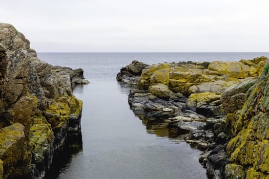 Coast line of sea. Stones covered with yellow and green moss and cloudy sky. Beautiful landscape.