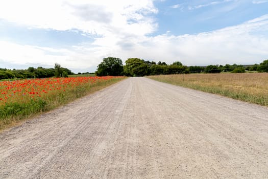 Road in the countryside and cloudy sky on a summer day. High quality photo