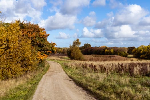 Beautiful autumn landscape with yellow leaves of trees and blue sky on a sunny day. High quality photo