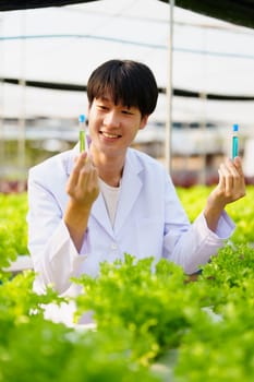 man Farmer harvesting vegetable and audit quality from hydroponics farm. Organic fresh vegetable, Farmer working with hydroponic vegetables garden harvesting, small business concepts