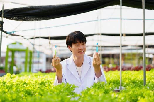 man Farmer harvesting vegetable and audit quality from hydroponics farm. Organic fresh vegetable, Farmer working with hydroponic vegetables garden harvesting, small business concepts