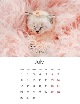 July 2024 Photo calendar with cute cats. Annual daily planner template with feline kitty animals. The week starts on Monday