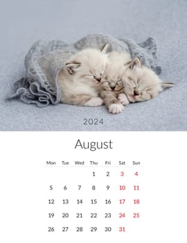 August 2024 Photo calendar with cute cats. Annual daily planner template with feline kitty animals. The week starts on Monday