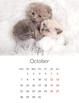 October 2024 Photo calendar with cute cats. Annual daily planner template with feline kitty animals. The week starts on Monday