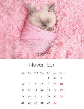 November 2024 Photo calendar with cute cats. Annual daily planner template with feline kitty animals. The week starts on Monday