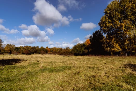 Beautiful autumn landscape with yellow leaves of trees and blue sky on a sunny day. High quality photo