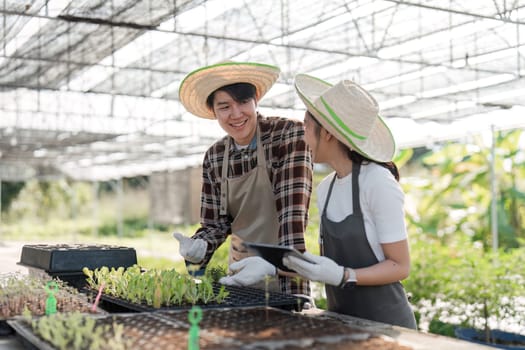 A modern couple gardening herbs and cannabis in a greenhouse, showcasing sustainable farming practices and teamwork.