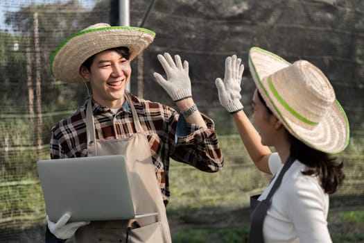 A modern farmer couple tending to herbs and cannabis in a greenhouse, showcasing sustainable agriculture practices.