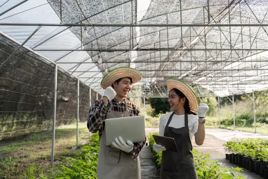 A modern farmer couple gardening herbs and cannabis in a greenhouse, using technology for efficient cultivation.