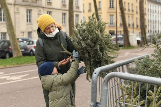 Mother and son throw away Christmas trees behind the fence to recycling in France