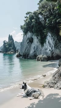 A tranquil cove with towering, rocky cliffs is framed by lush, verdant foliage. In the foreground, a playful dog relaxes on the sandy shore, creating a serene and picturesque scene