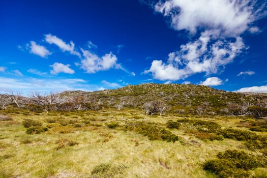 Landscape views along the Porcupine Walking Track on a summer's day in Kosciuszko National Park, Snowy Mountains, New South Wales, Australia