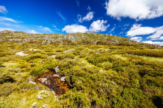 Landscape views along the Porcupine Walking Track on a summer's day in Kosciuszko National Park, Snowy Mountains, New South Wales, Australia