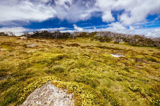 Landscape views along the Porcupine Walking Track on a summer's day in Kosciuszko National Park, Snowy Mountains, New South Wales, Australia