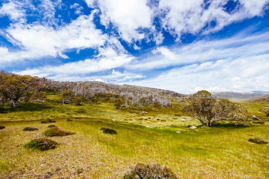 Landscape views along the Porcupine Walking Track on a summer's day in Kosciuszko National Park, Snowy Mountains, New South Wales, Australia