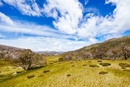 Landscape views along the Porcupine Walking Track on a summer's day in Kosciuszko National Park, Snowy Mountains, New South Wales, Australia
