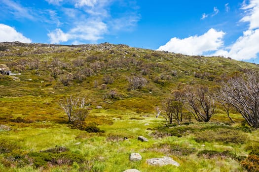 Perisher village views in summer in Kosciuszko National Park, Snowy Mountains, New South Wales, Australia