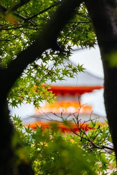 The iconic Kiyomizu-dera temple and mountain view on a sunny spring day in Kyoto, Japan