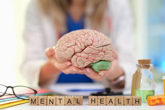 A comprehensive visual representation of mental health that utilizes a brain model and educational tools effectively