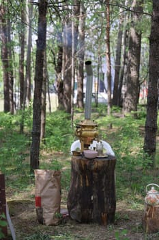 A charming vintage stove positioned atop a rustic log in a peaceful forest setting, enveloped by lush greenery