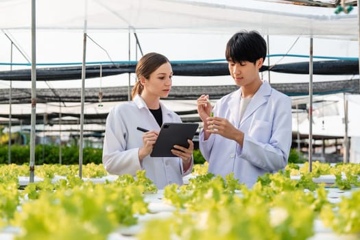 A team of researchers in lab coats working on chemical analysis in a vegetable garden, focusing on sustainable agricultural practices.
