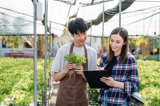 A young couple working together in a greenhouse, practicing modern agriculture techniques. They are holding fresh produce and a clipboard, symbolizing teamwork and innovation.