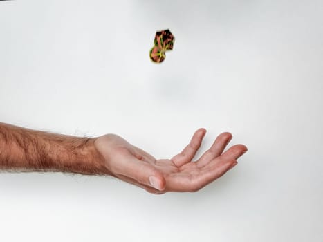 Hand tossing colorful dice against white background capturing motion.