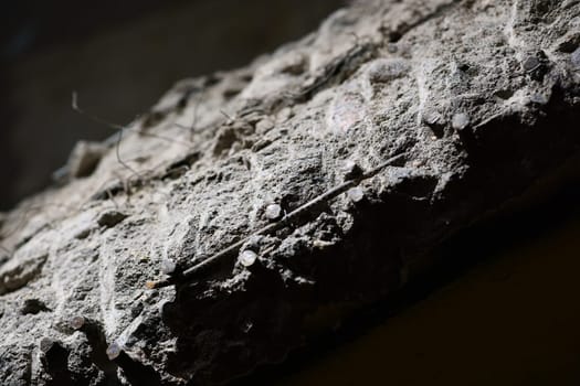 A closeup view shows dust and cobwebs on a rough surface, highlighting its unique texture and characteristics