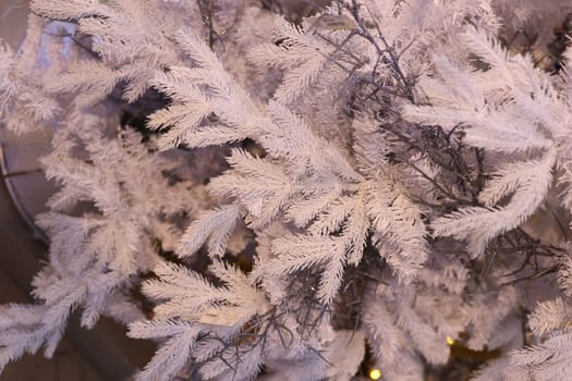 A closeup view of frosted tree branches, ideal for use in winter and holidaythemed creative projects