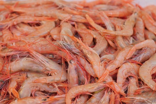 A vibrant and enticing heap of freshly caught mediumsized shrimp, ready to be enjoyed