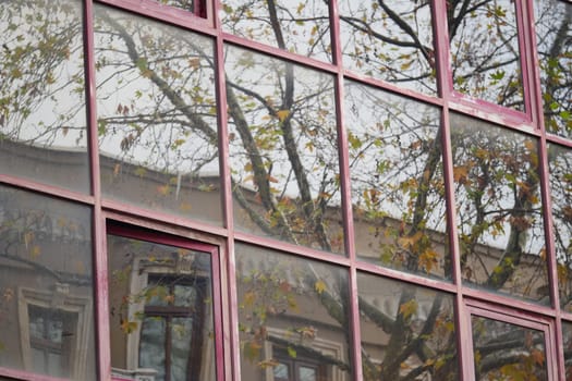 A stunning and captivating reflection of trees is seen in modern glass windows tonight