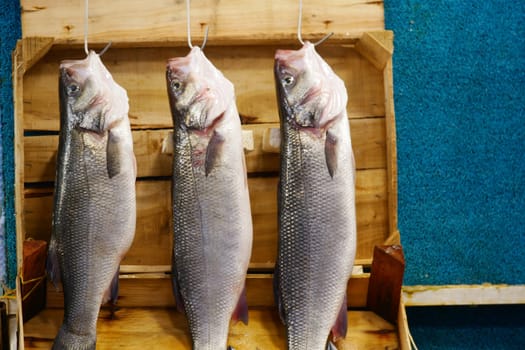Three fresh fish are displayed on a rustic rack against a vibrant blue background