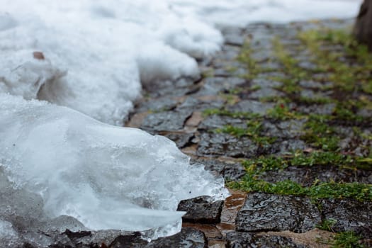 melted snow on paving stones covered with moss.