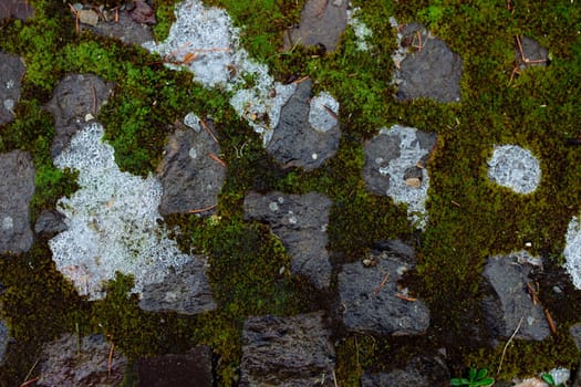 melted snow on paving stones covered with moss.