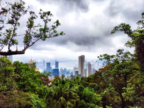 panoramic view of Hong Kong's iconic skyscrapers from above, partially obscured by lush greenery and a hazy sky
