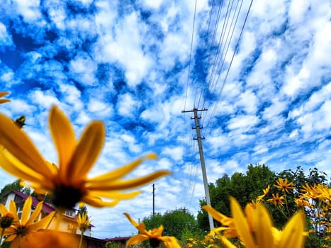 Old pole with wires against the sky. Electric transmission line, Eco-friendly energy